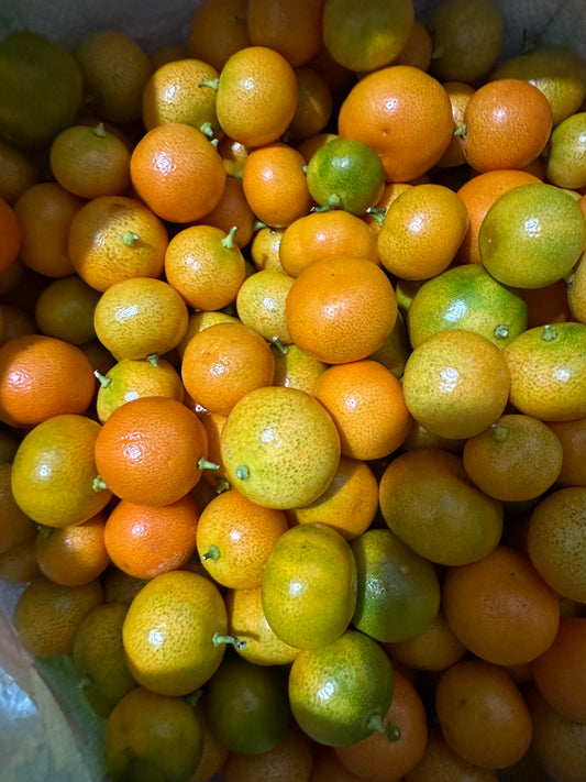Calamansi fruit 2 lbs